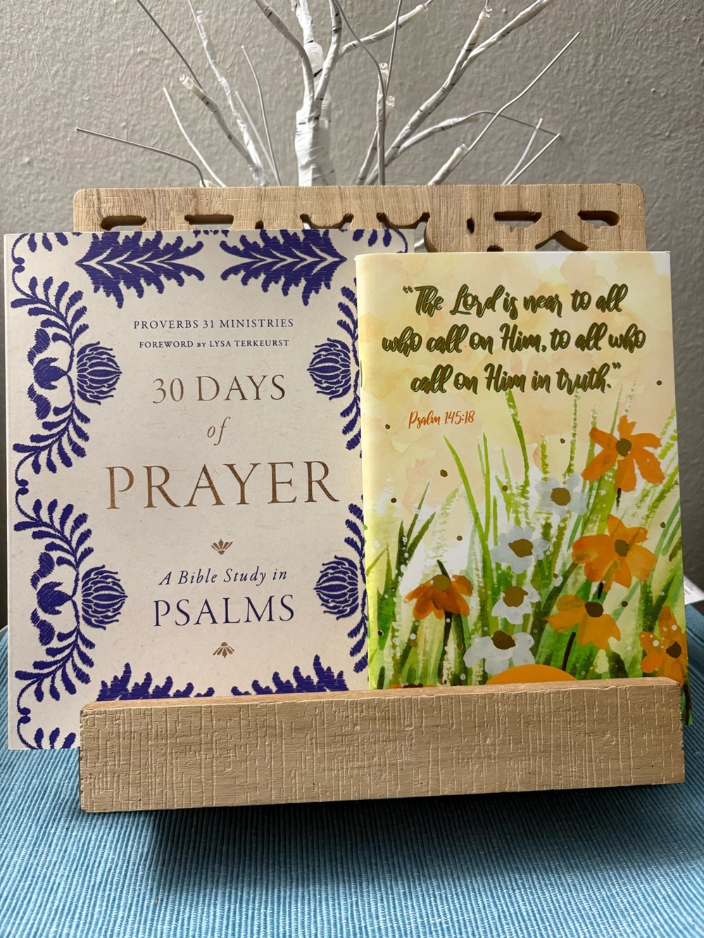 30 Days of Prayer Psalms Book Set - Cream & Purple and journal included